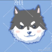 客单 雪橇三傻_阿拉斯加萨摩耶哈士奇平涂我要上首推萌宠萌宠头像原创绘画作品