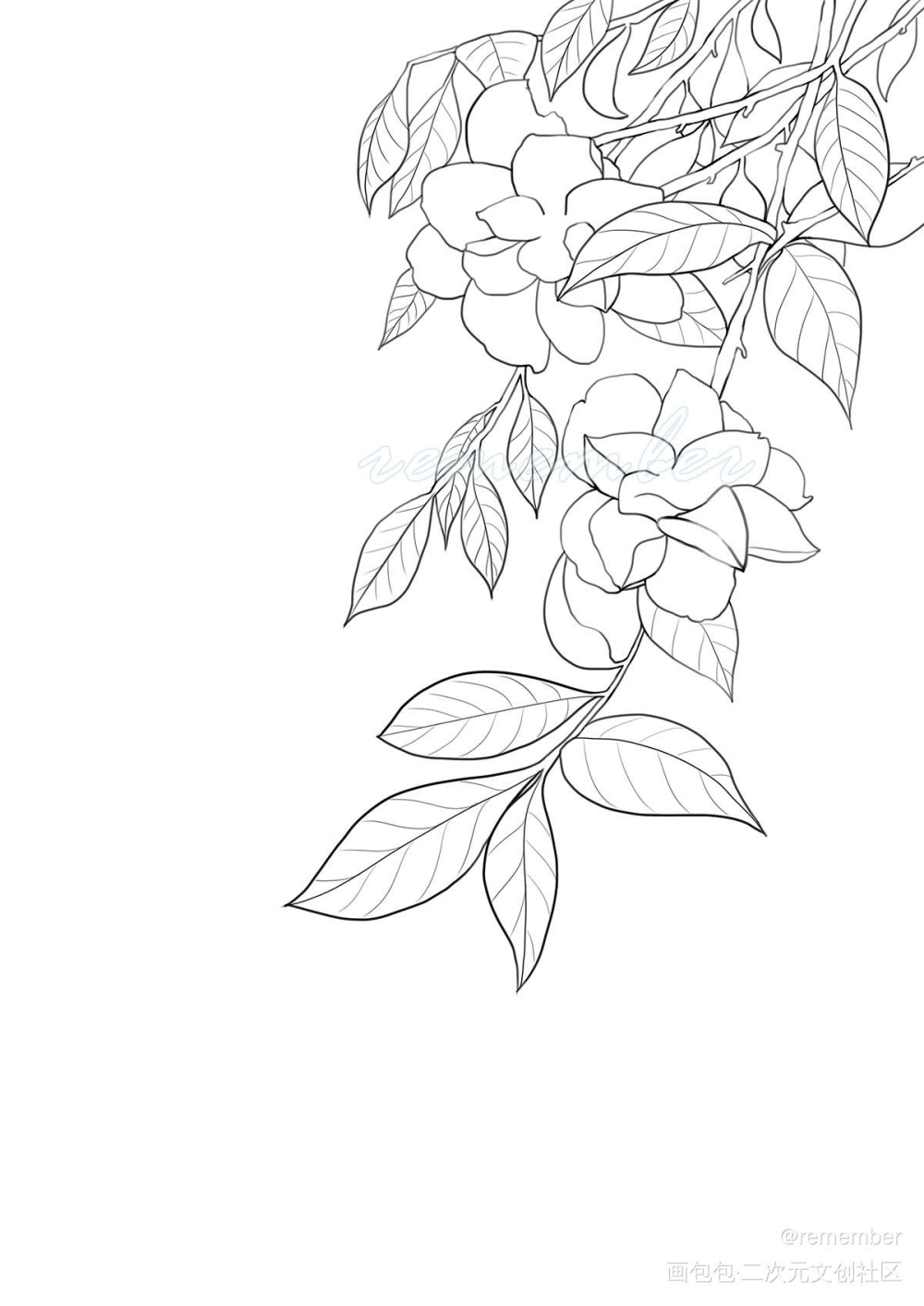花绘 过程 插画_厚涂平涂日系花绘我要上首推插画绘画原创绘画作品