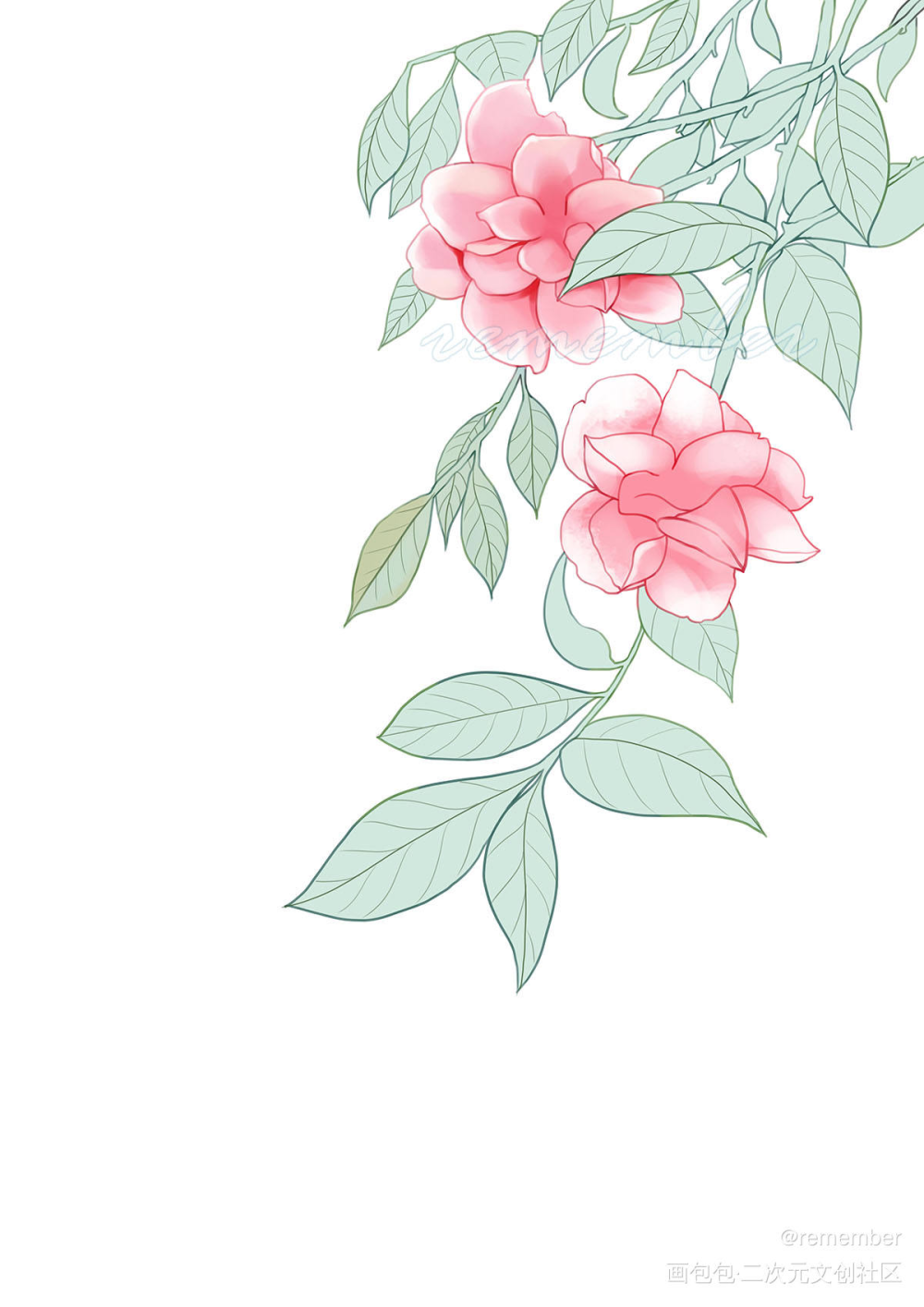 花绘 过程 插画_厚涂平涂日系花绘我要上首推插画绘画原创绘画作品