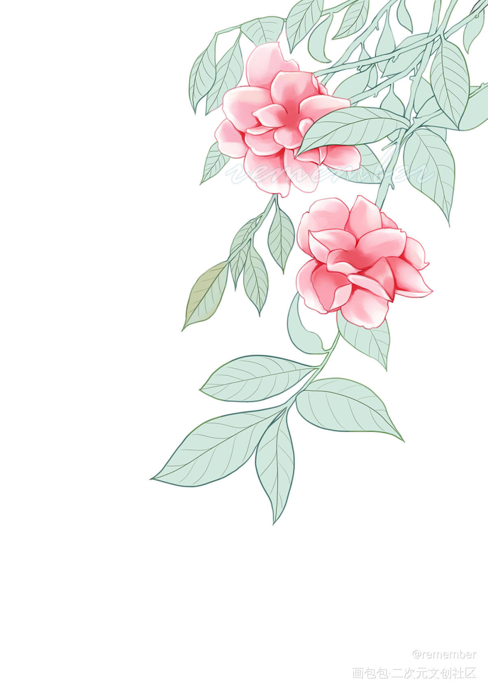 花绘 过程 插画_厚涂平涂日系花绘我要上首推插画绘画原创绘画作品