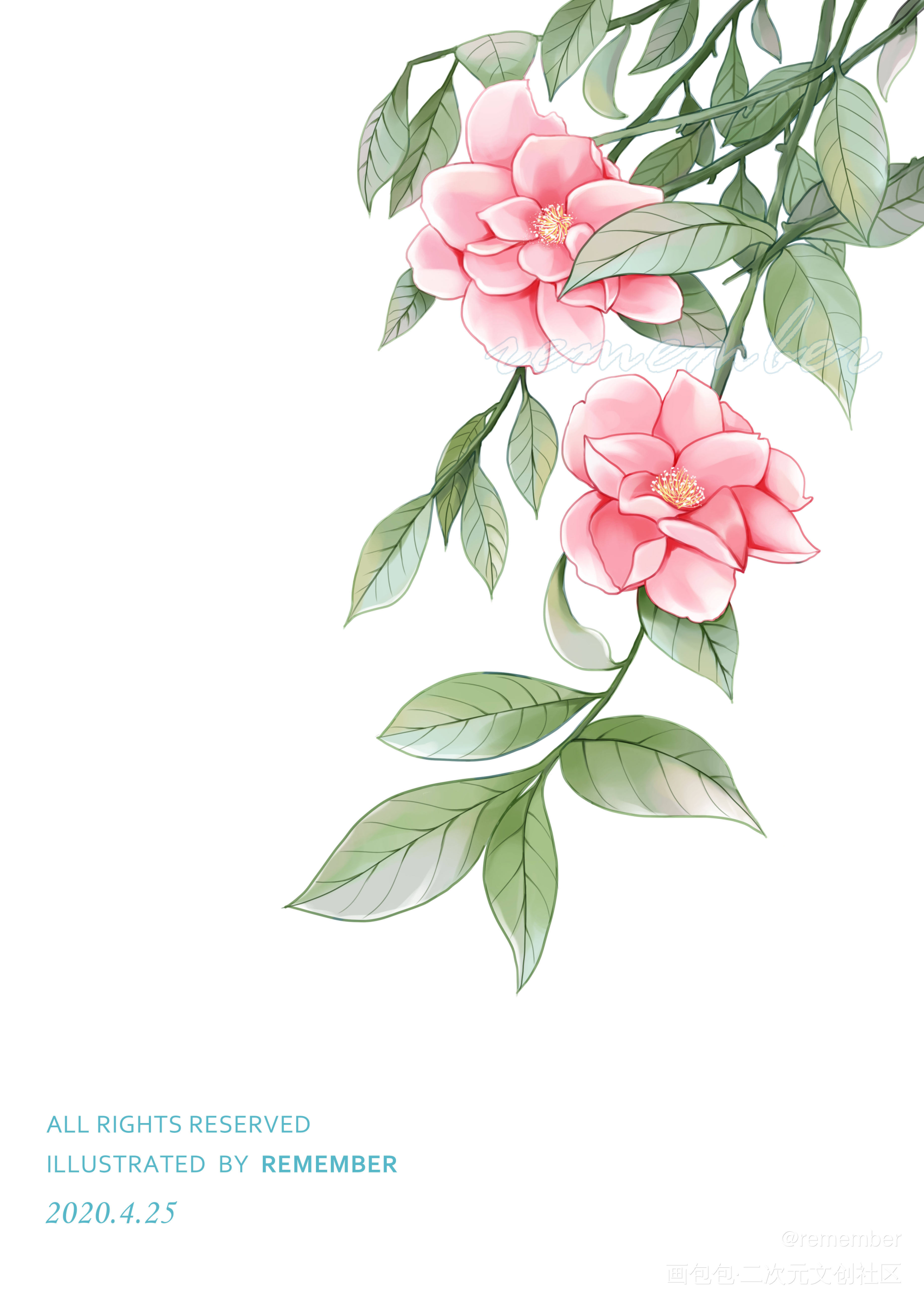 花绘 过程 插画_厚涂平涂日系花绘我要上首推插画绘画原创绘画作品