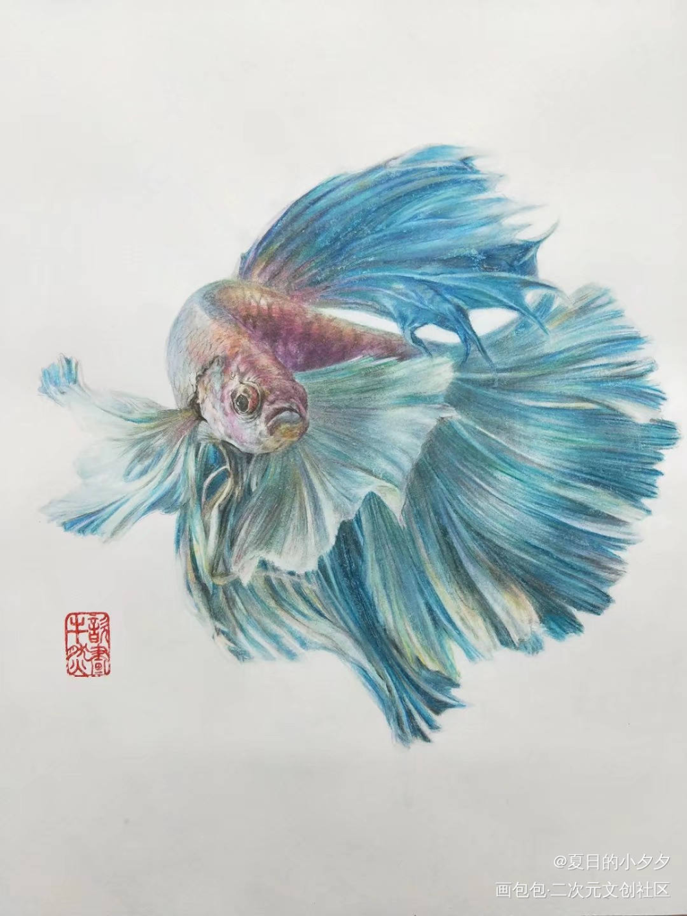 一只丑鱼_彩铅原创绘画作品