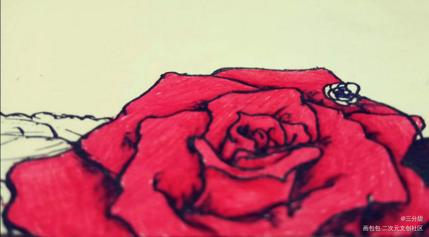 玫瑰花/:rose _原创手写原创绘画作品