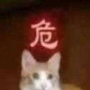 284795