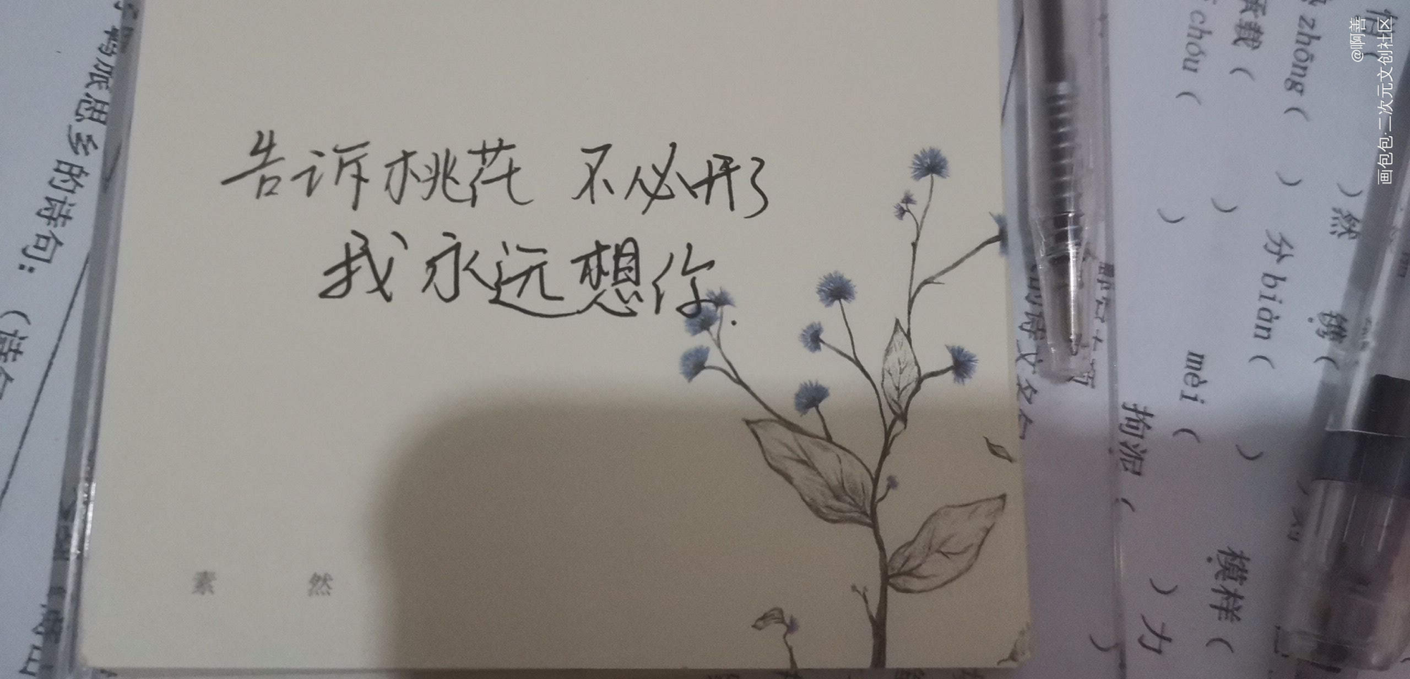 桃花_绘画作品