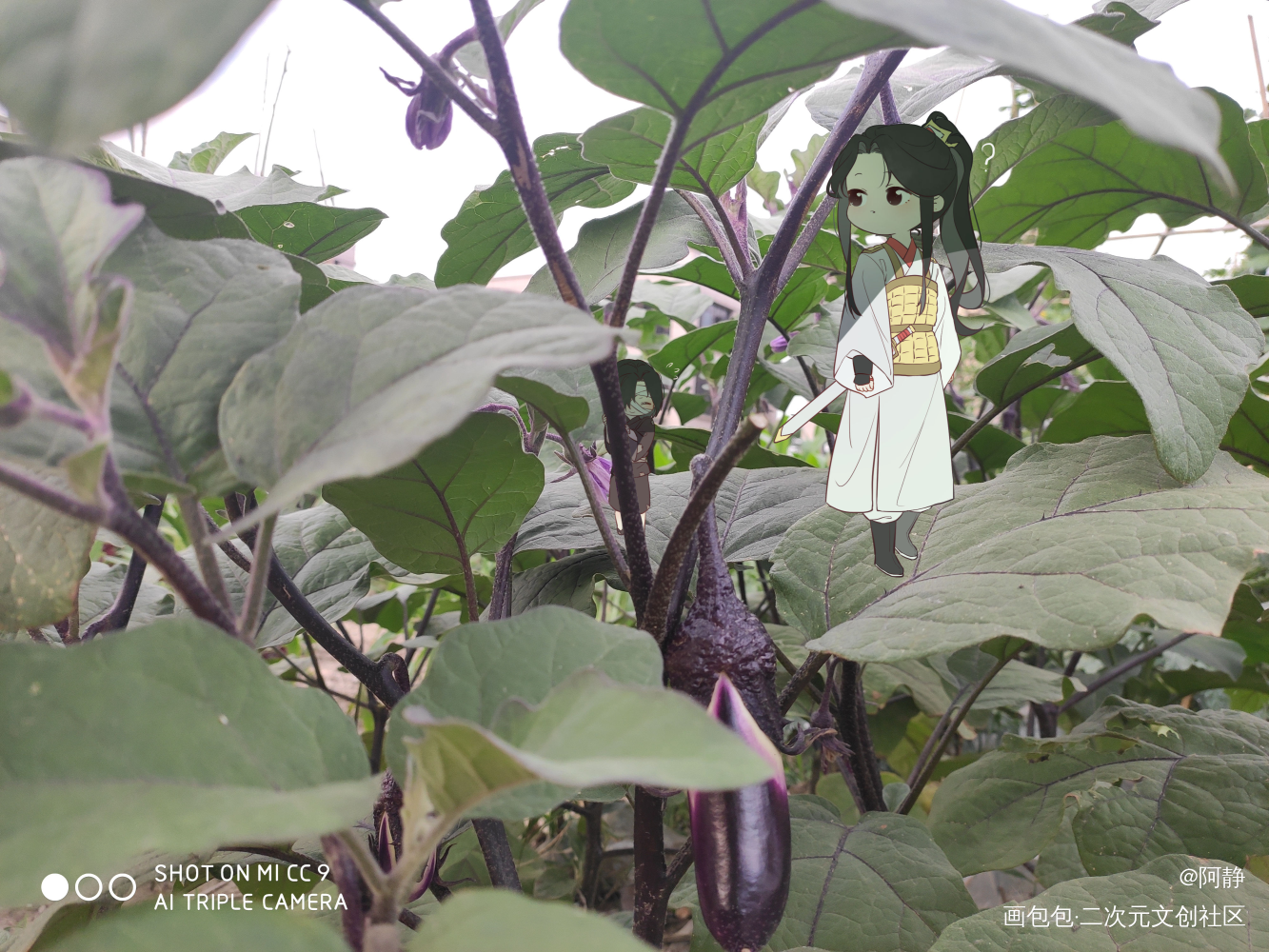 花草树木_天官赐福花怜谢怜花城平涂Q版照片摸鱼同人绘画作品