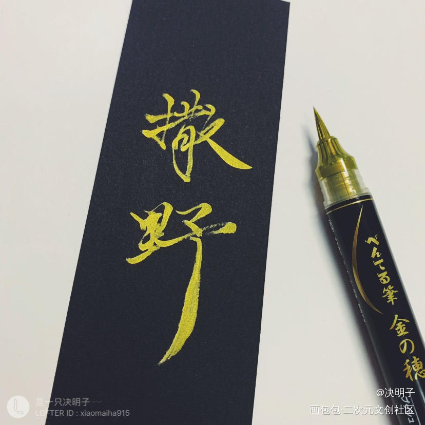 撒野写字_撒野顾飞蒋丞字体设计原创手写手写绘画作品