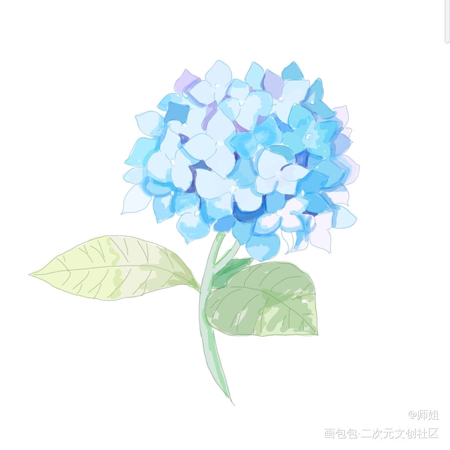 满天星_日系插画原创原创绘画作品