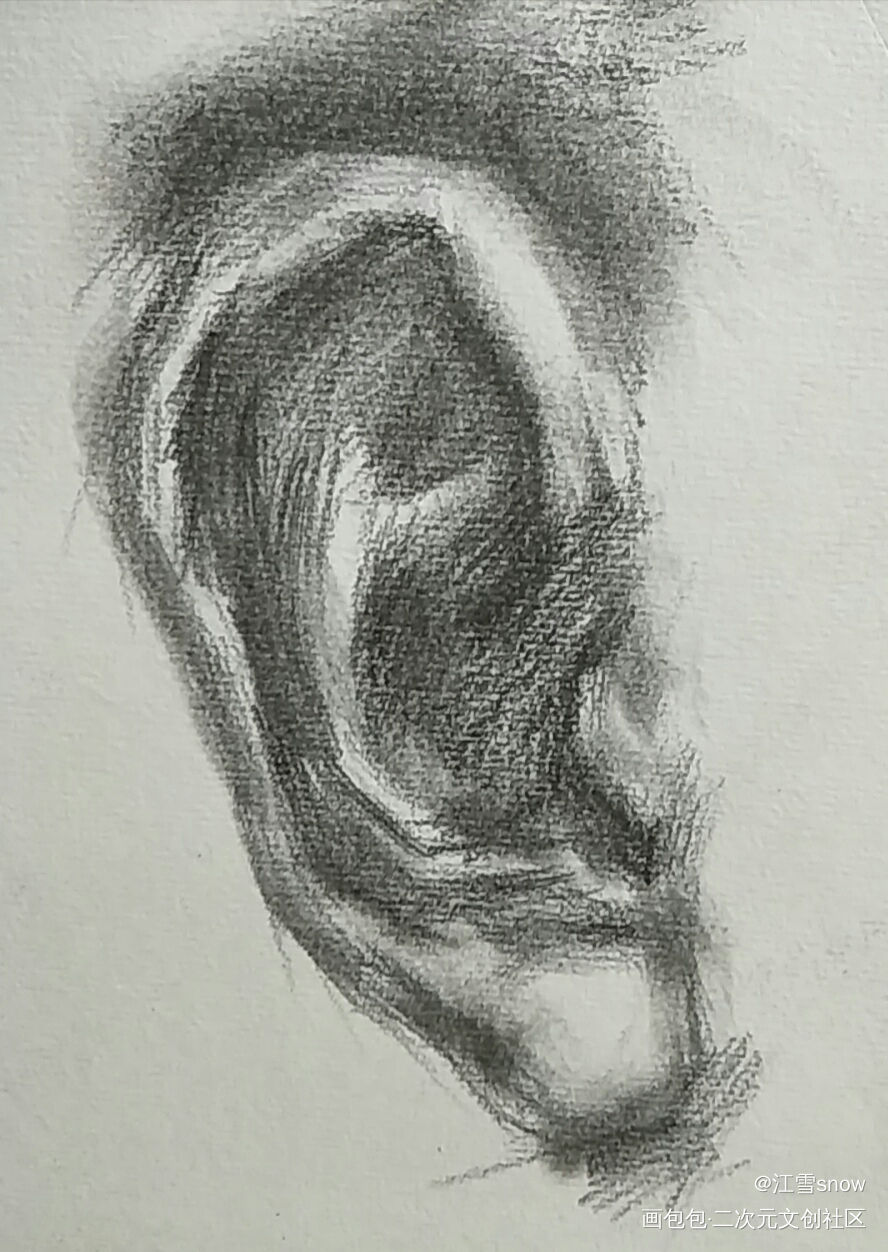 一只小耳朵(ღ˘⌣˘ღ)_画画素描绘画作品