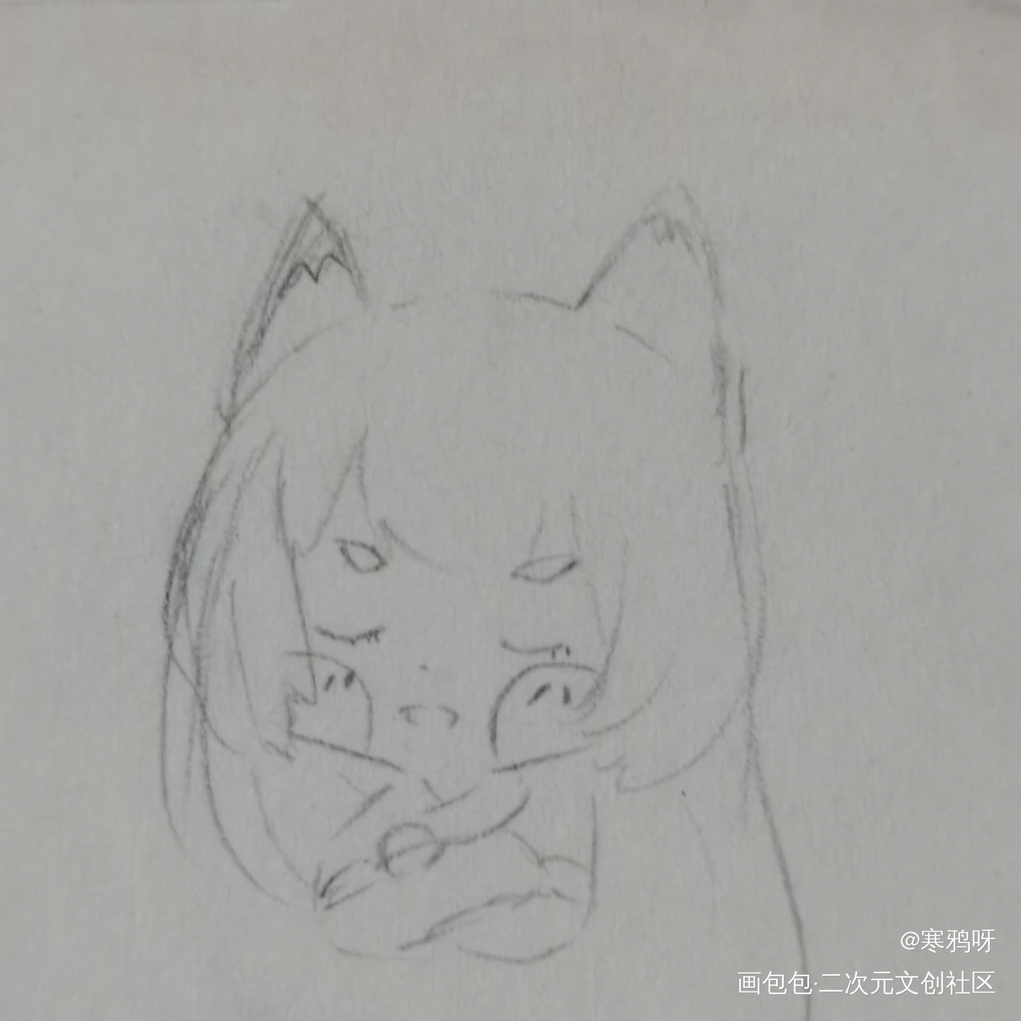 《猫之茗》茉莉和祁红～_猫之茗同人绘画作品