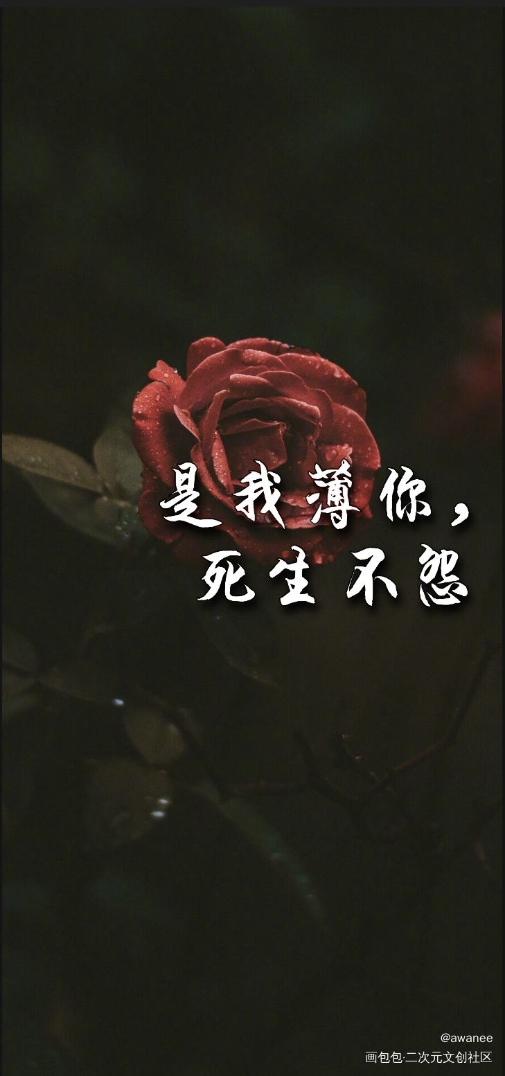 是我薄你，死生不怨。_二哈和他的白猫师尊楚晚宁墨燃我要上首推字体设计绘画作品