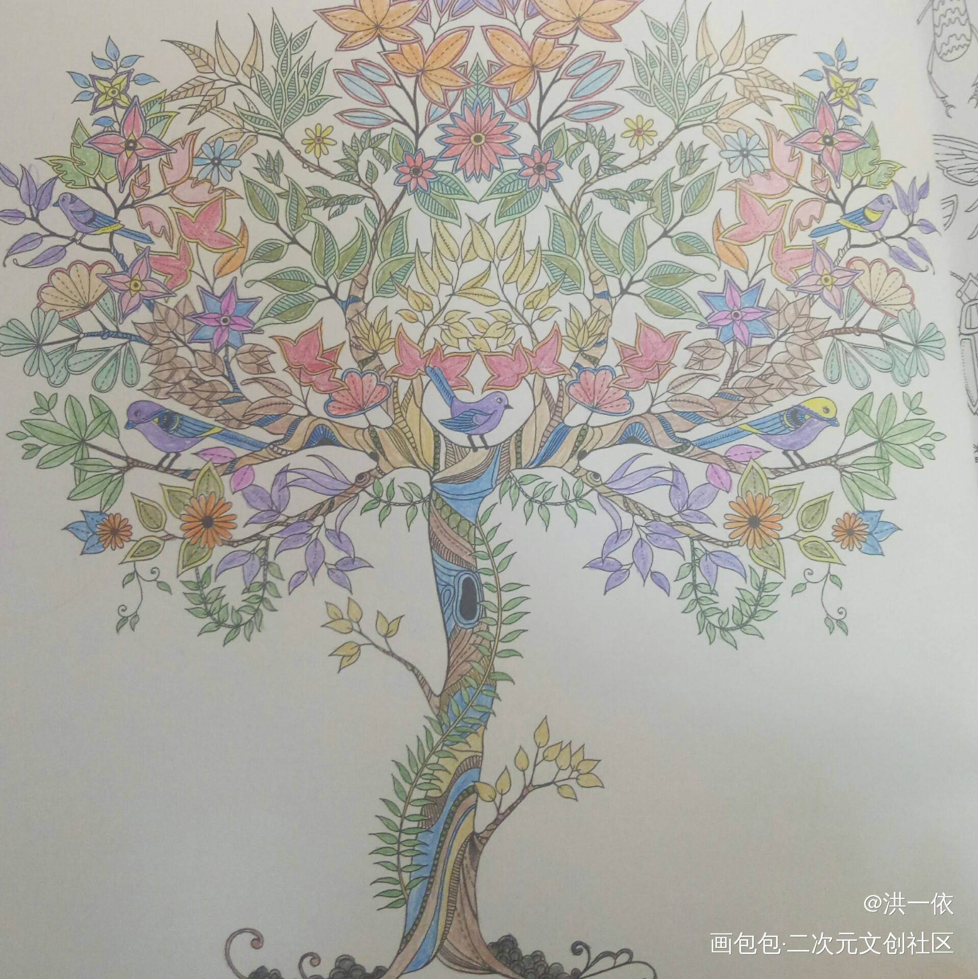 树_秘密花园绘画作品