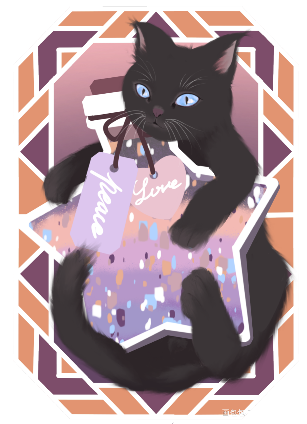 小黑的星愿瓶_镇江猫岛众筹猫原创绘画作品