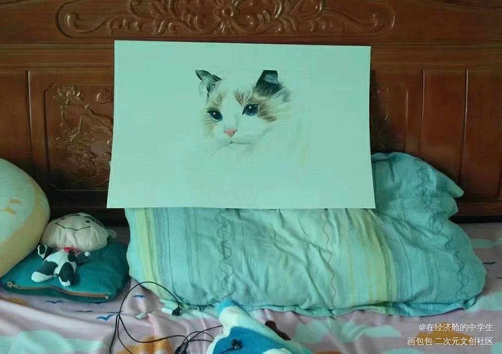 MY MY MY CAT！！！_平涂我要上首推绘画绘画作品