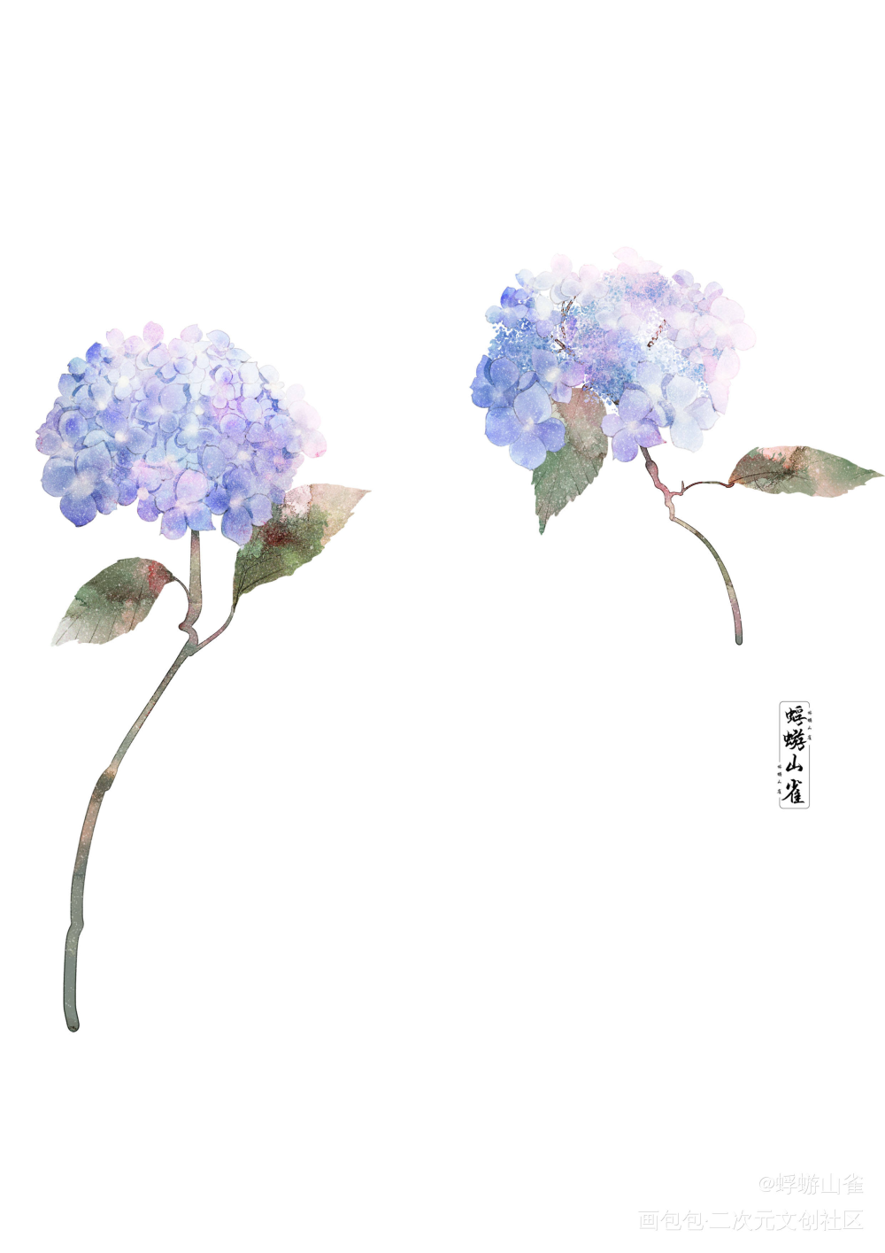 板绘绘画_花卉壁纸板绘绘画绘画作品