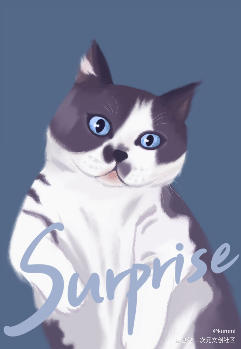 Surprise！_插画猫绘画作品