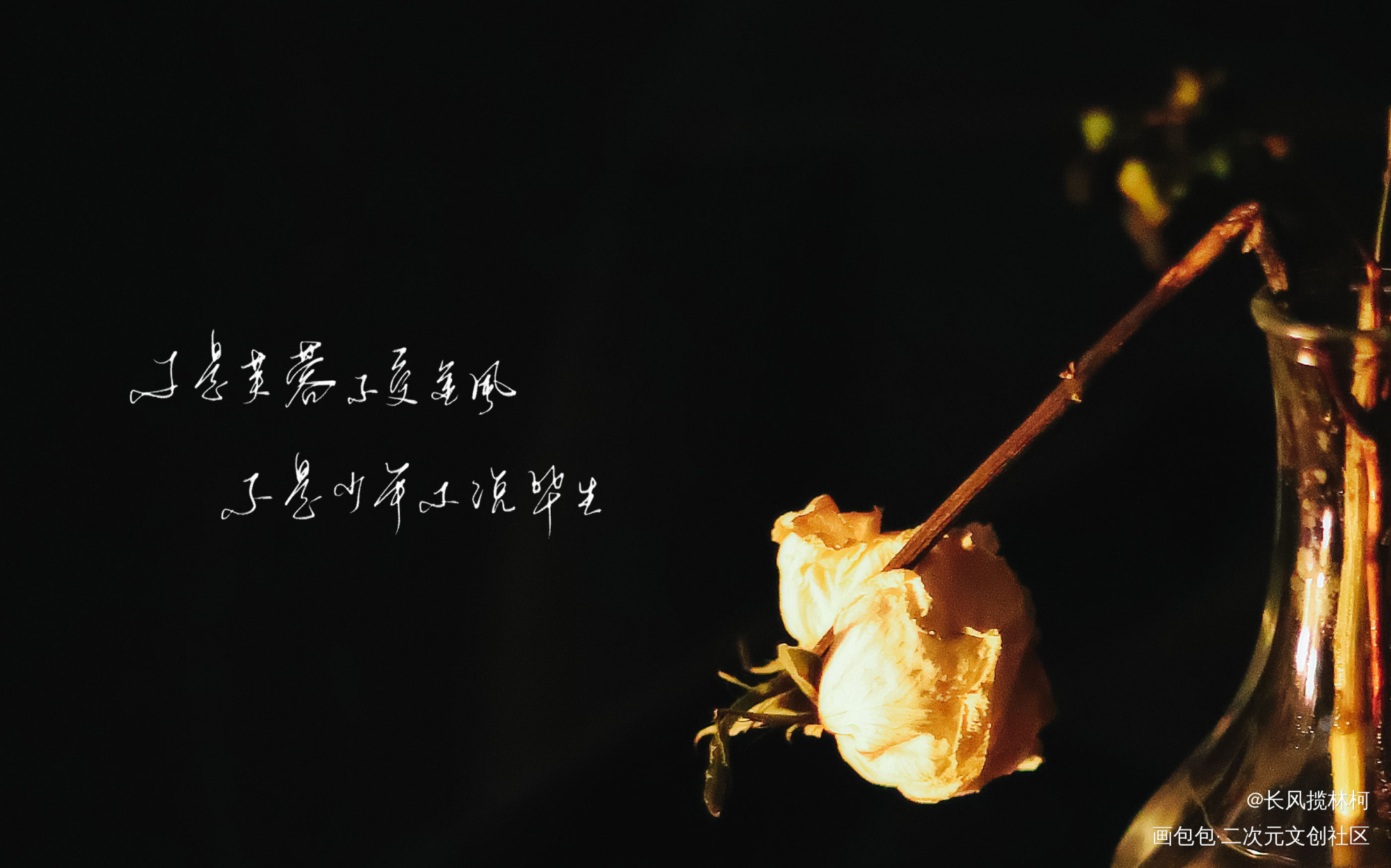 每日打卡！_手写作品手写绘画作品