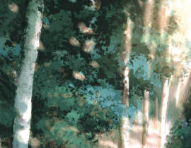午后射进树林的第一束光_绘画作品