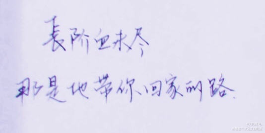 _二哈和他的白猫师尊绘画作品