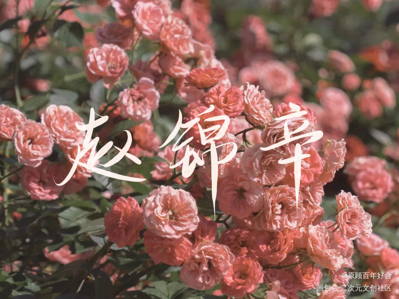 看看甜心心情好_188男团赵锦辛板写联盟绘画作品