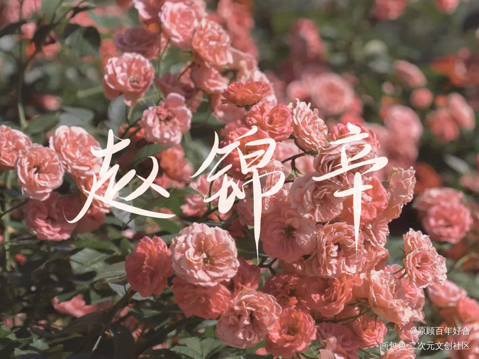 看看甜心心情好_188男团赵锦辛板写联盟绘画作品