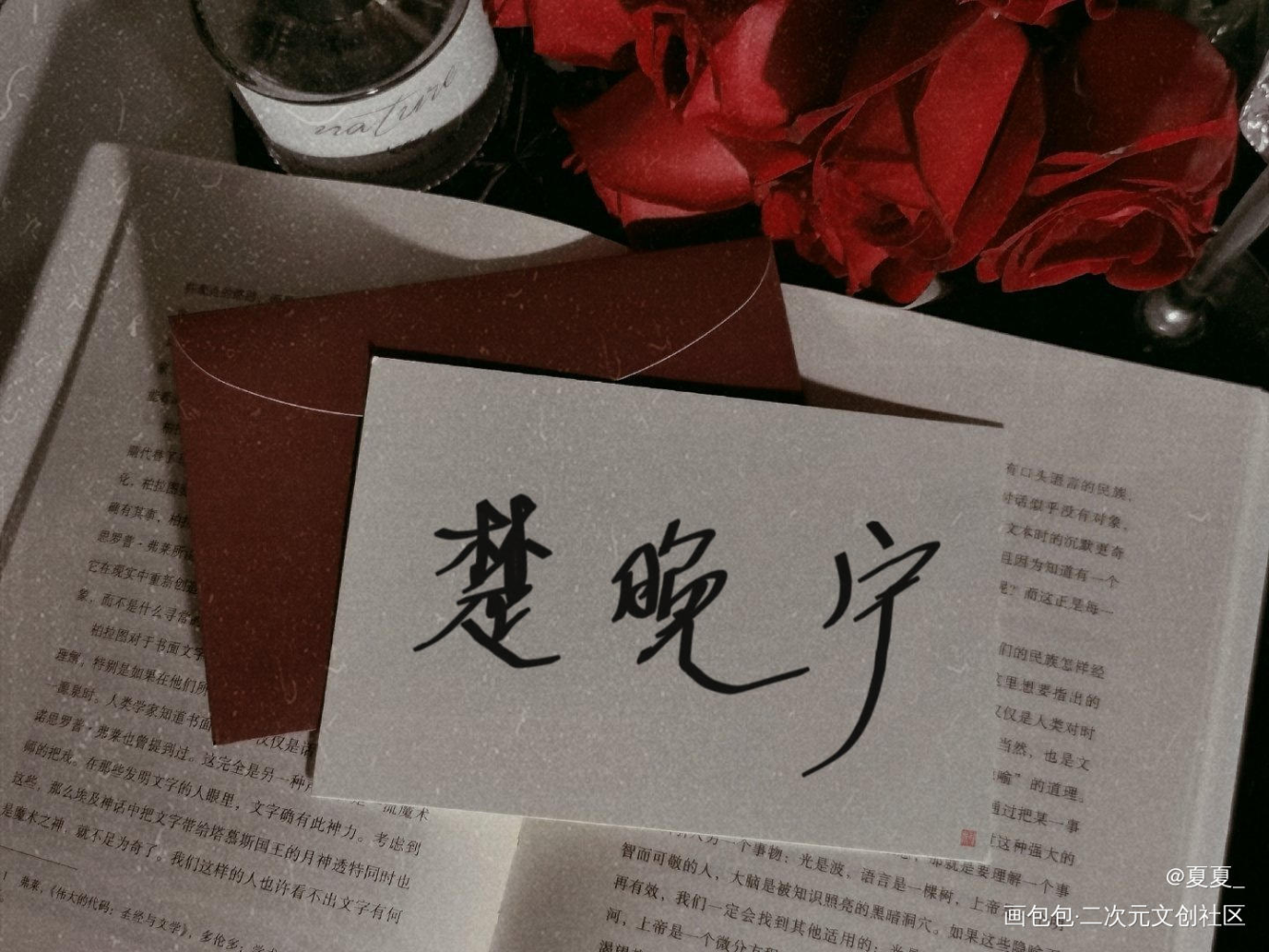 二哈和他的白猫师尊_二哈和他的白猫师尊墨燃楚晚宁字见字如晤绘画作品