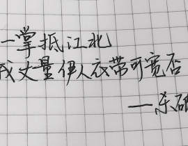 小学生写字。_绘画作品