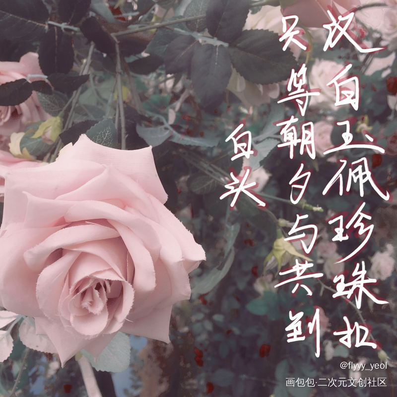 碎玉投珠_碎玉投珠丁汉白字体设计绘画作品