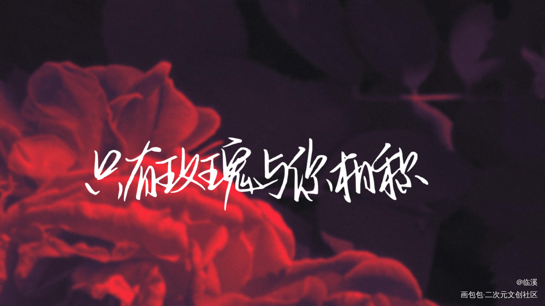 只有玫瑰与你相称_我只喜欢你的人设自习周自珩夏习清求关注我要上首