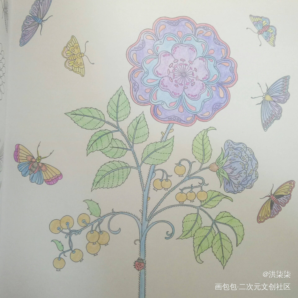 一只花蝴蝶和五颜六色的花花_练习绘画作品