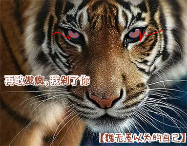 炸毛老祖羡_魔道祖师忘羡蓝忘机魏无羡Q版我要上首推同人绘画作品