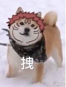 头像稿稿 也不能用_日系头像约稿约稿绘画作品