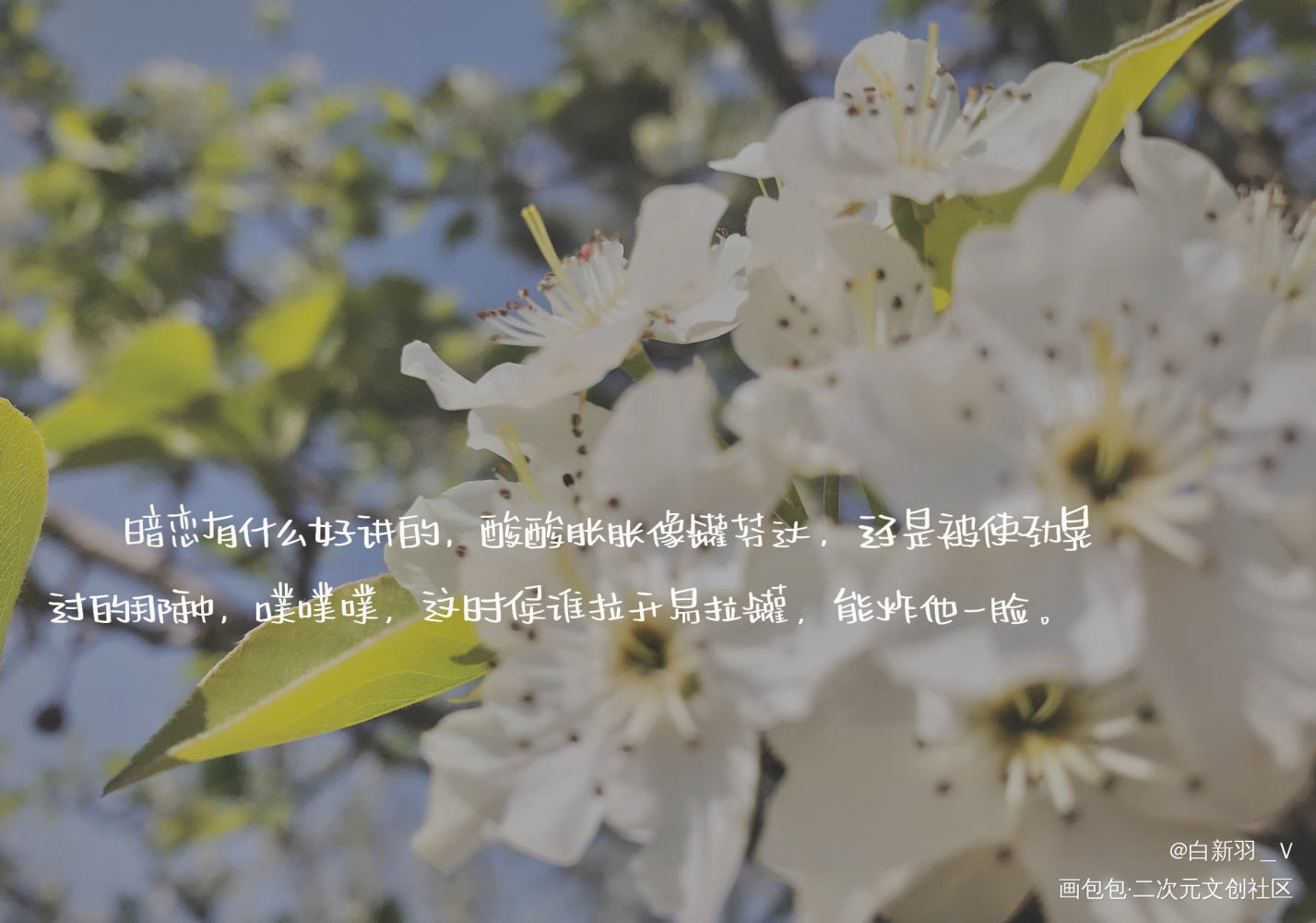 暗恋_伪装学渣朝俞谢俞贺朝木瓜黄见字如晤绘画作品