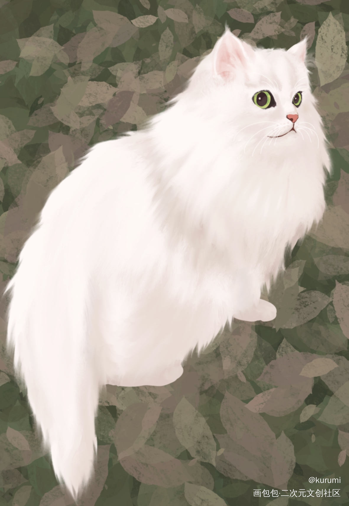 猫猫平安_插画猫约稿绘画作品