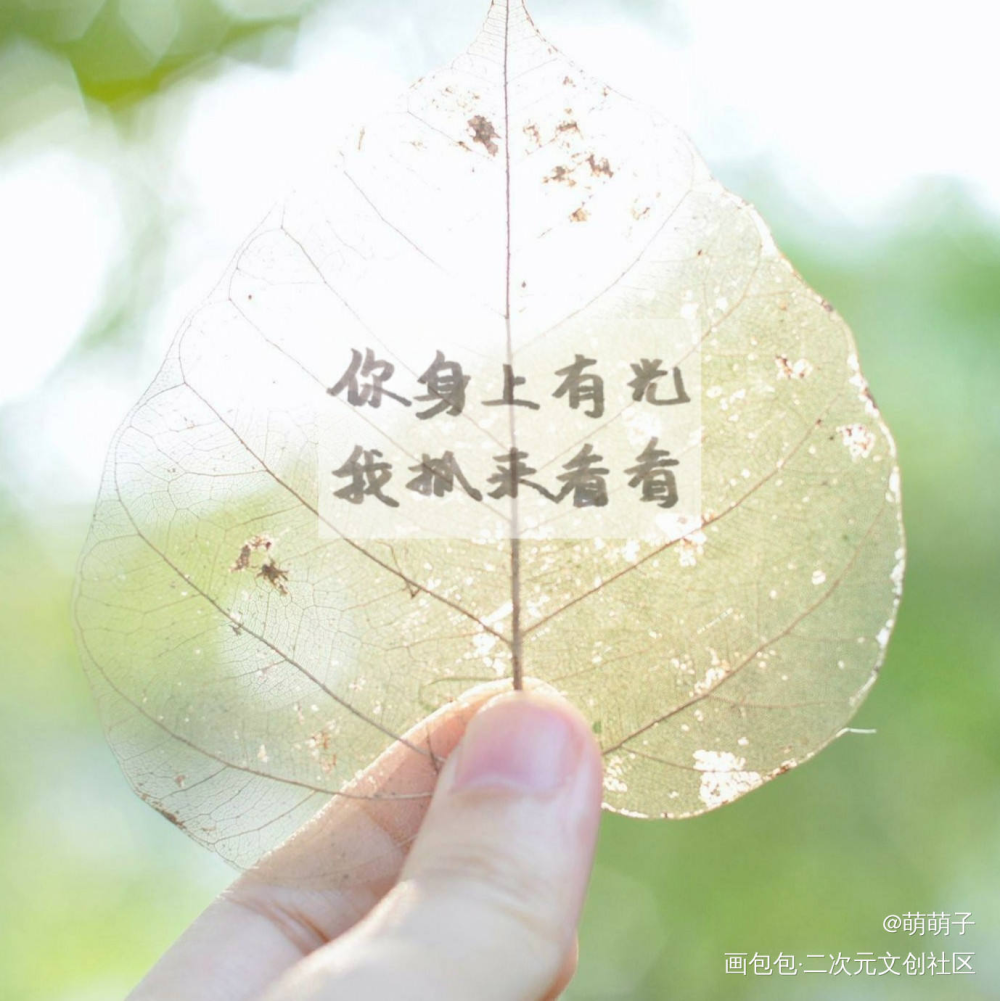 你身上有光，我抓来看看_山河令浪浪钉练字见字如晤见字如晤板写手写priest绘画作品