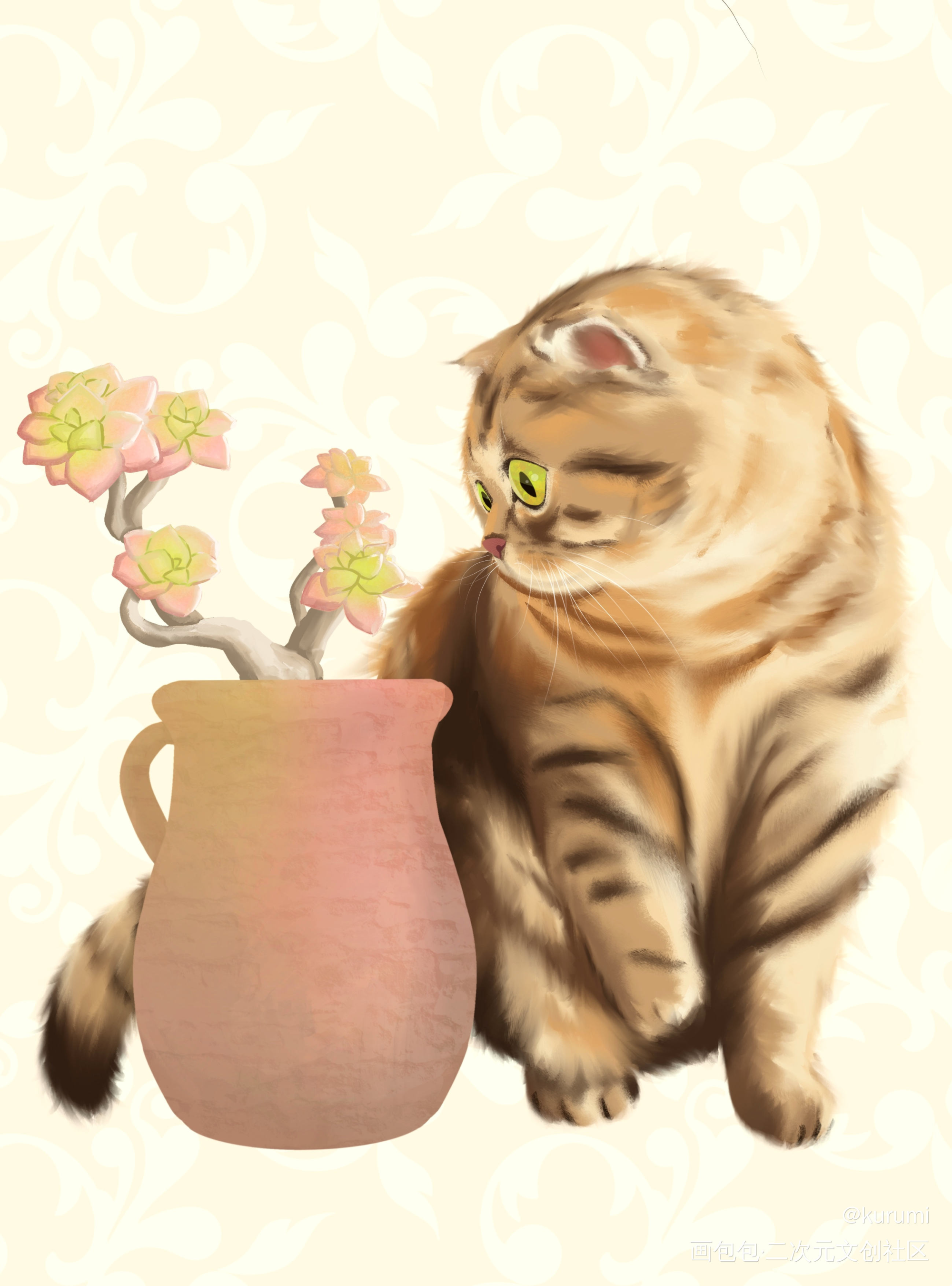 美短折耳猫_插画猫原创绘画作品