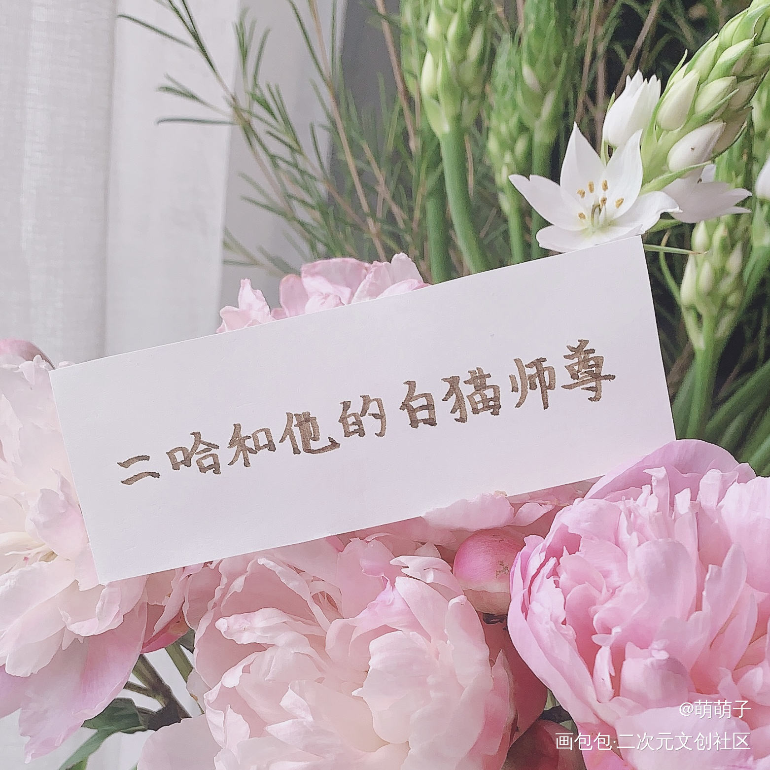 二哈和他的白猫师尊_二哈和他的白猫师尊燃晚墨燃楚晚宁字体古风我要上首推字体设计肉包不吃肉练字见字如晤见字如晤手写绘画作品