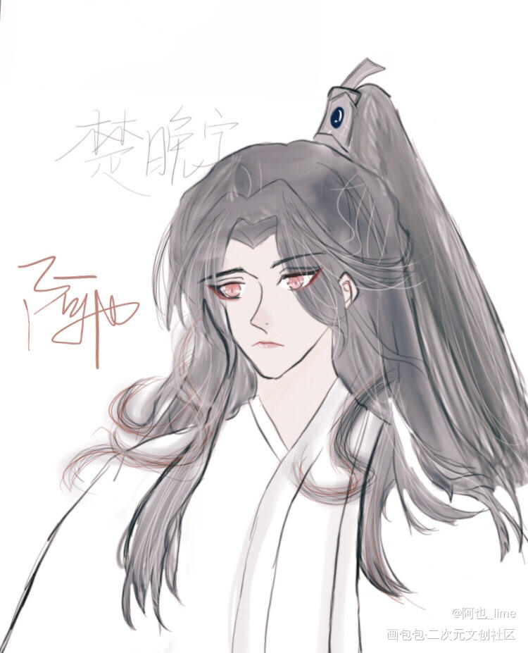 楚晚宁_二哈和他的白猫师尊燃晚楚晚宁手绘头像同人原创绘画作品