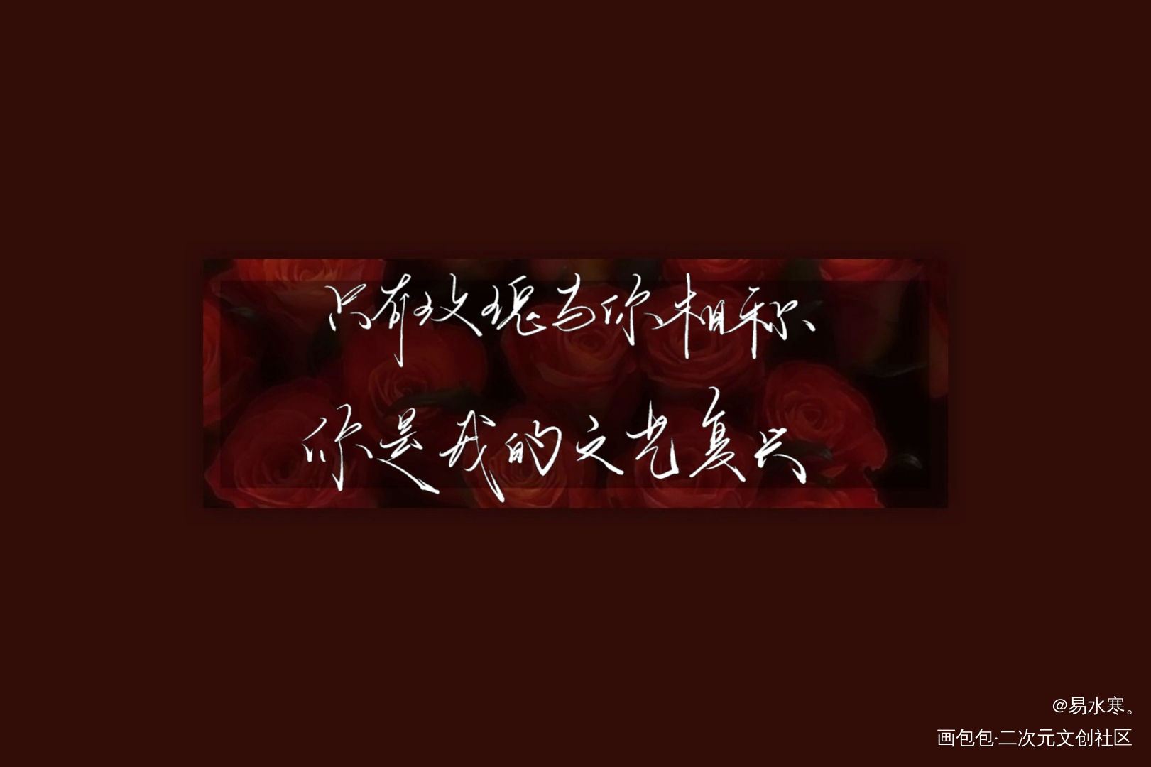 只有玫瑰与你相衬_我只喜欢你的人设我要上首推字体设计见字如晤绘画作品