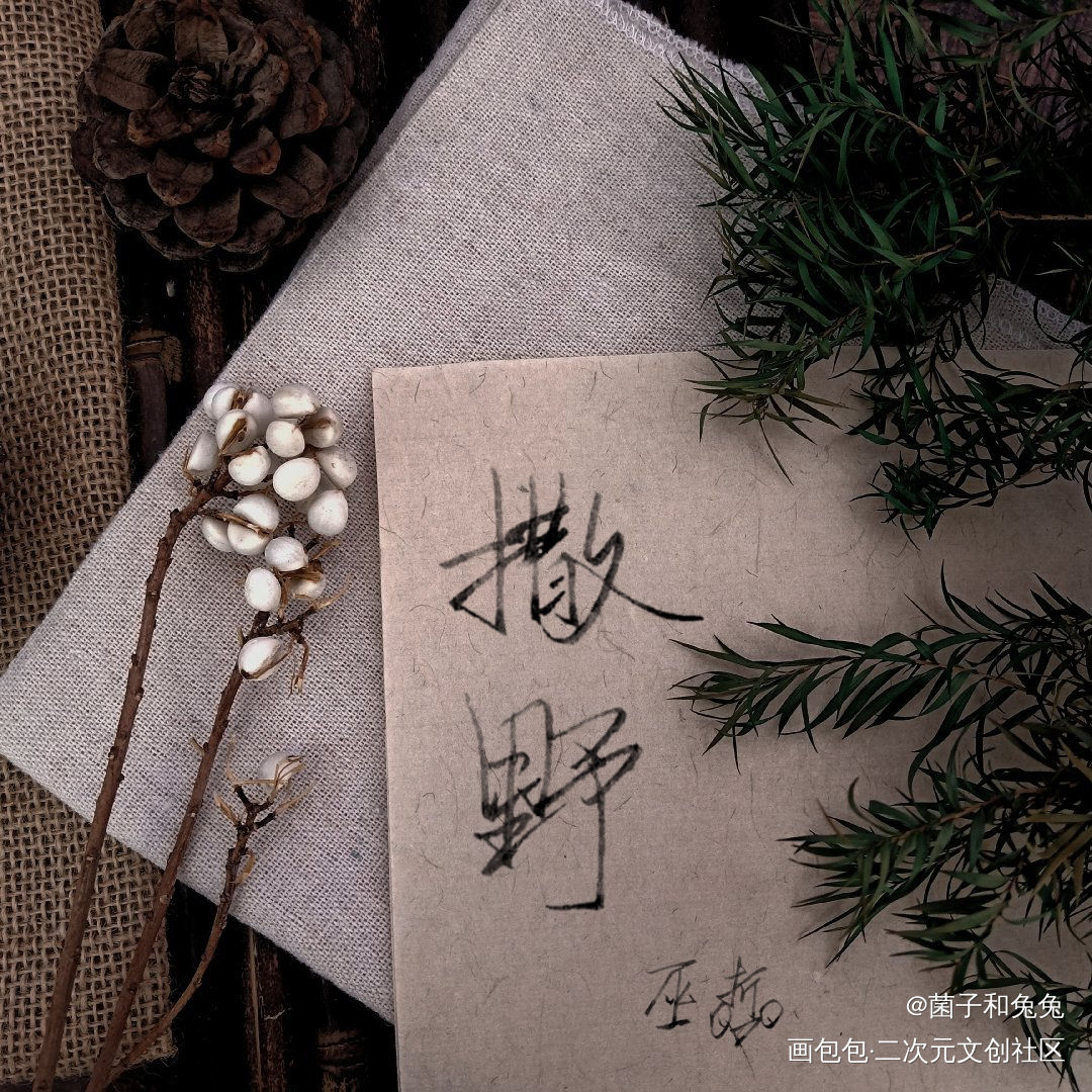 撒野_撒野我要上首推字体设计见字如晤见字如晤巫哲板写手写绘画作品