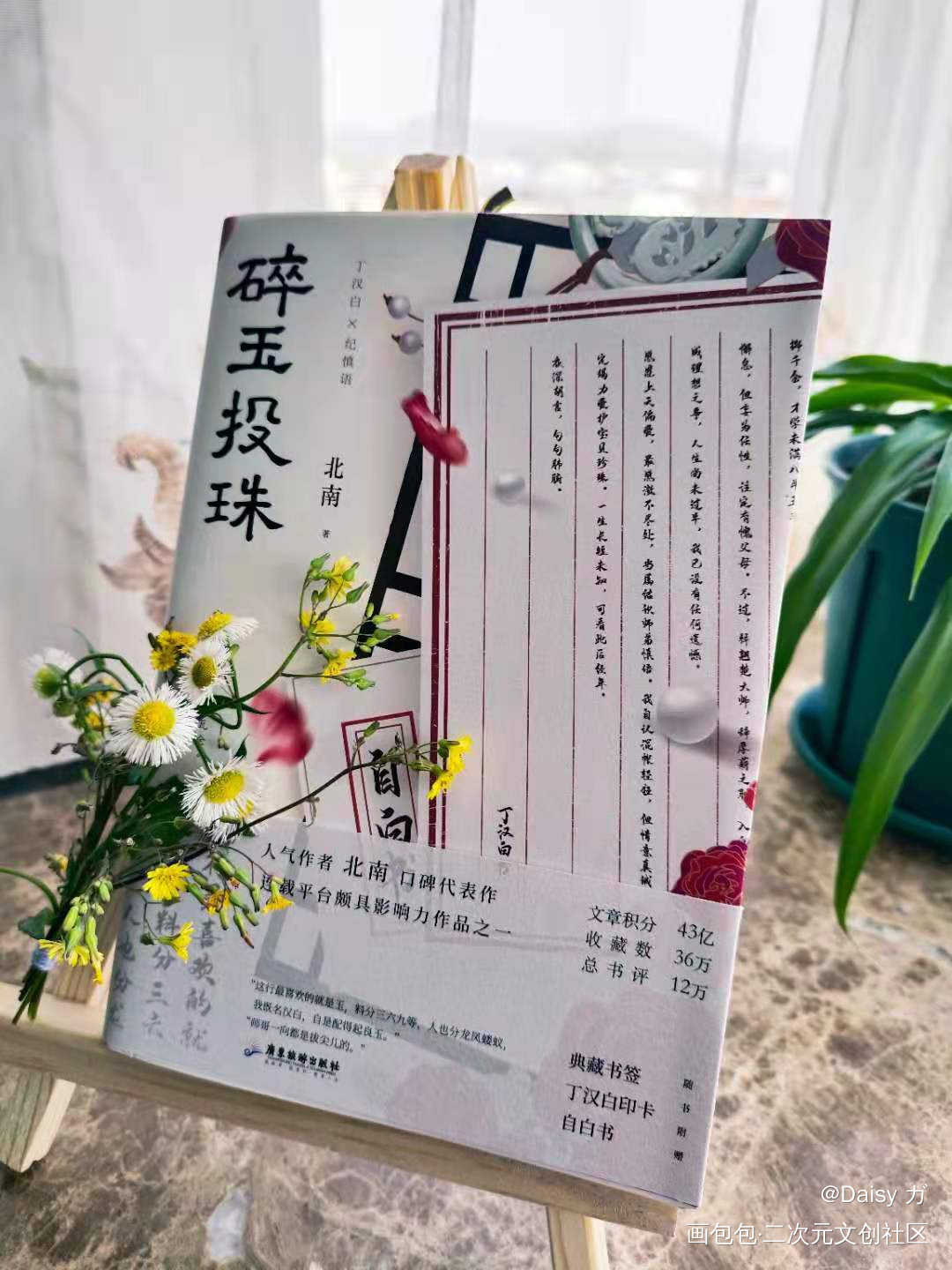 _碎玉投珠绘画作品