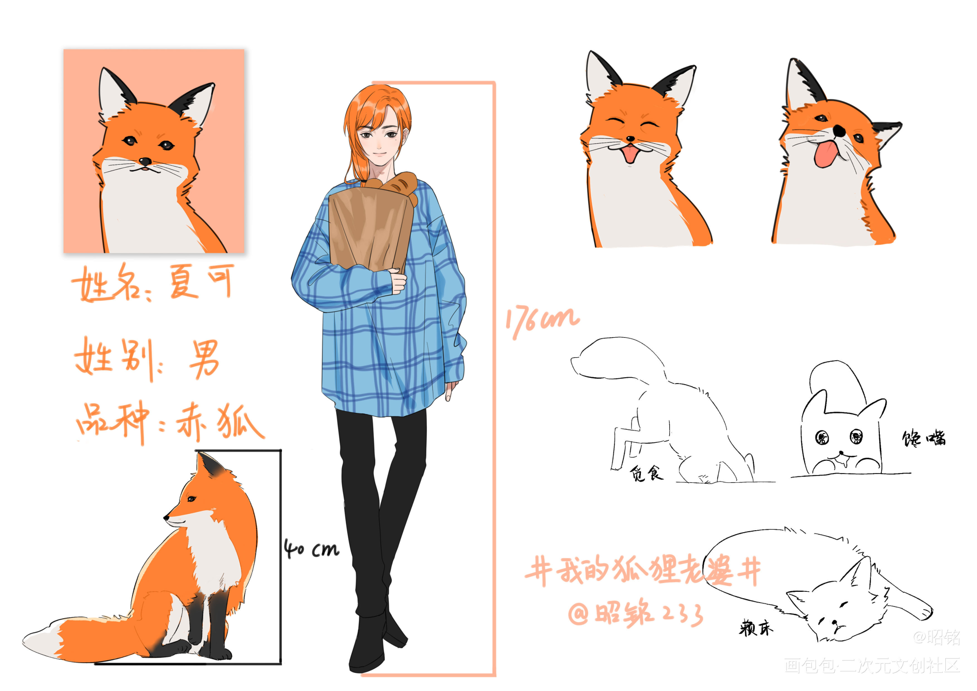 我的狐狸老婆_插画我的狐狸老婆bl绘画作品