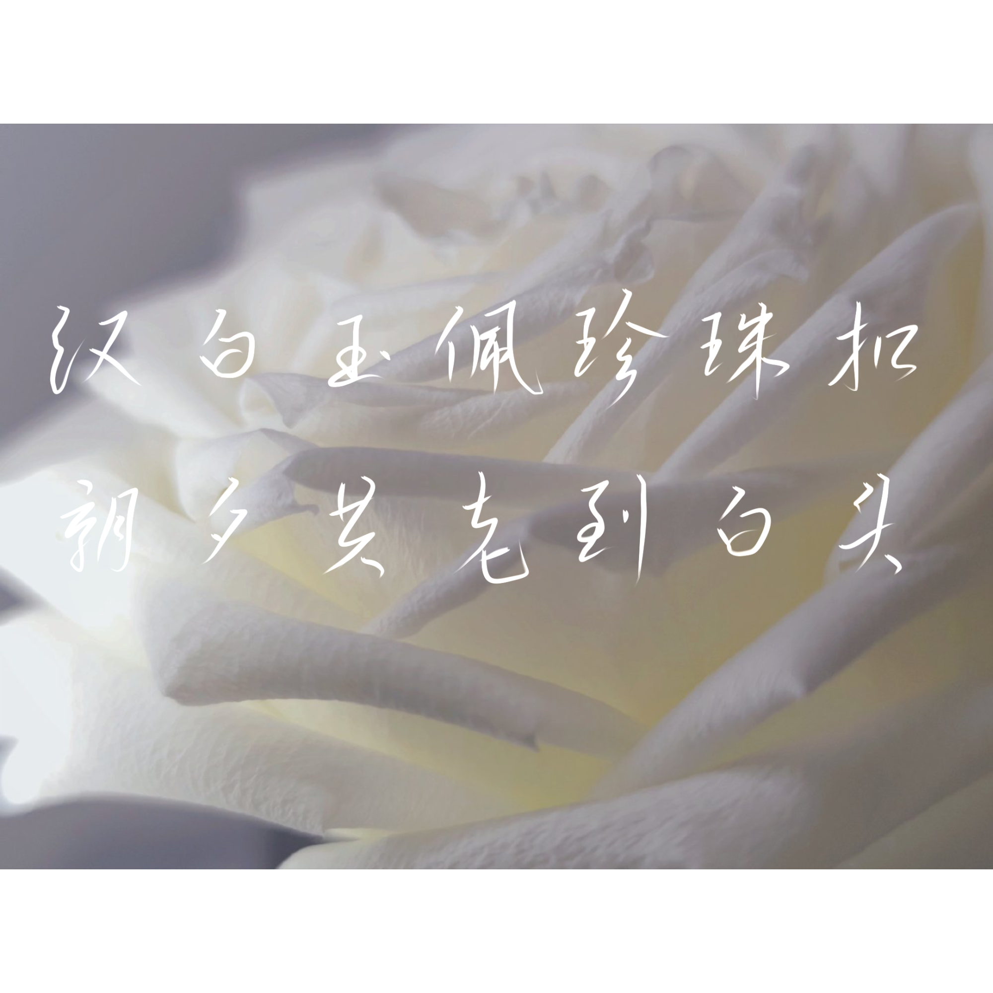 共白头是最好的结局_碎玉投珠北南我要上首推指写见字如晤绘画作品