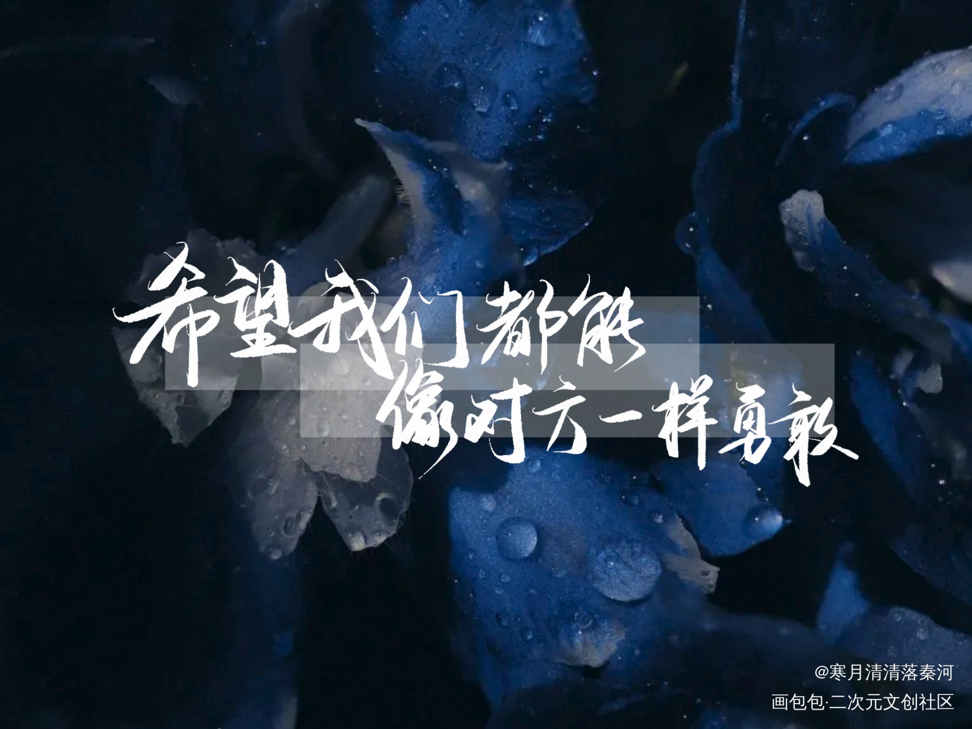 撒野_撒野我要上首推字体设计板写联盟见字如晤见字如晤绘画作品