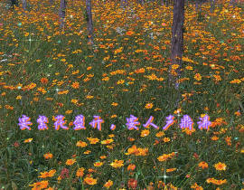 《某某》的夏天到了。_绘画作品
