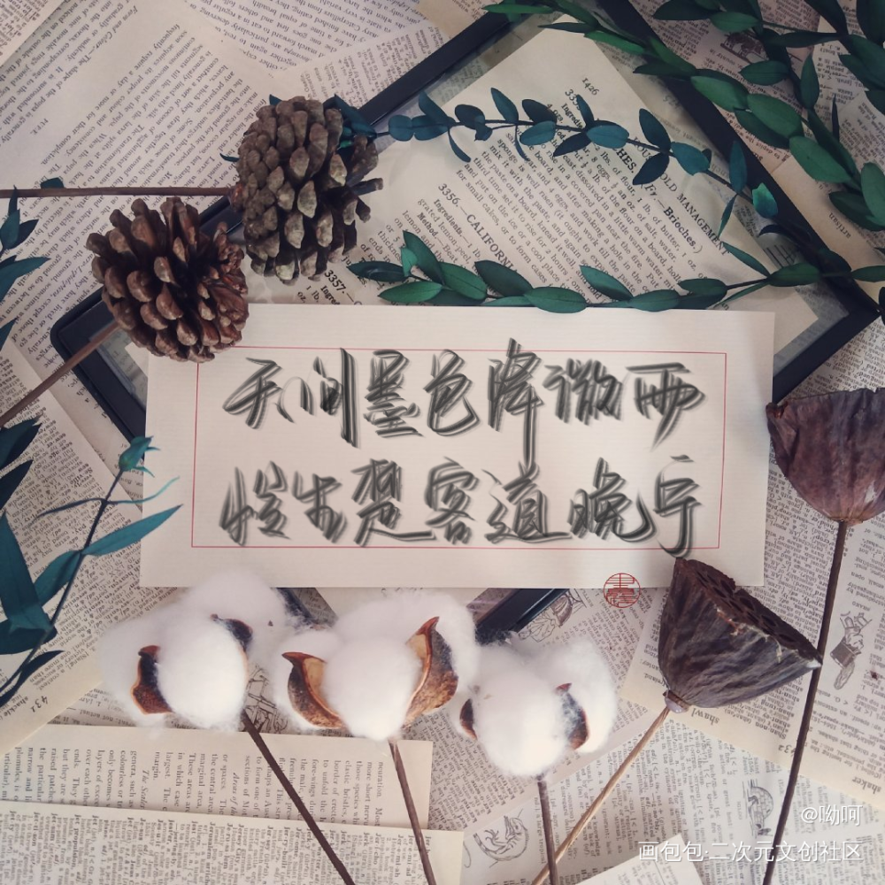 海棠微雨共归途_二哈和他的白猫师尊燃晚我要上首推字体设计晚夜微雨问海棠见字如晤板写绘画作品