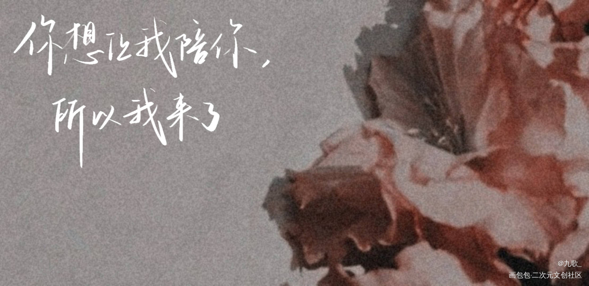 入睡指南_入睡指南见字如晤板写卡比丘绘画作品
