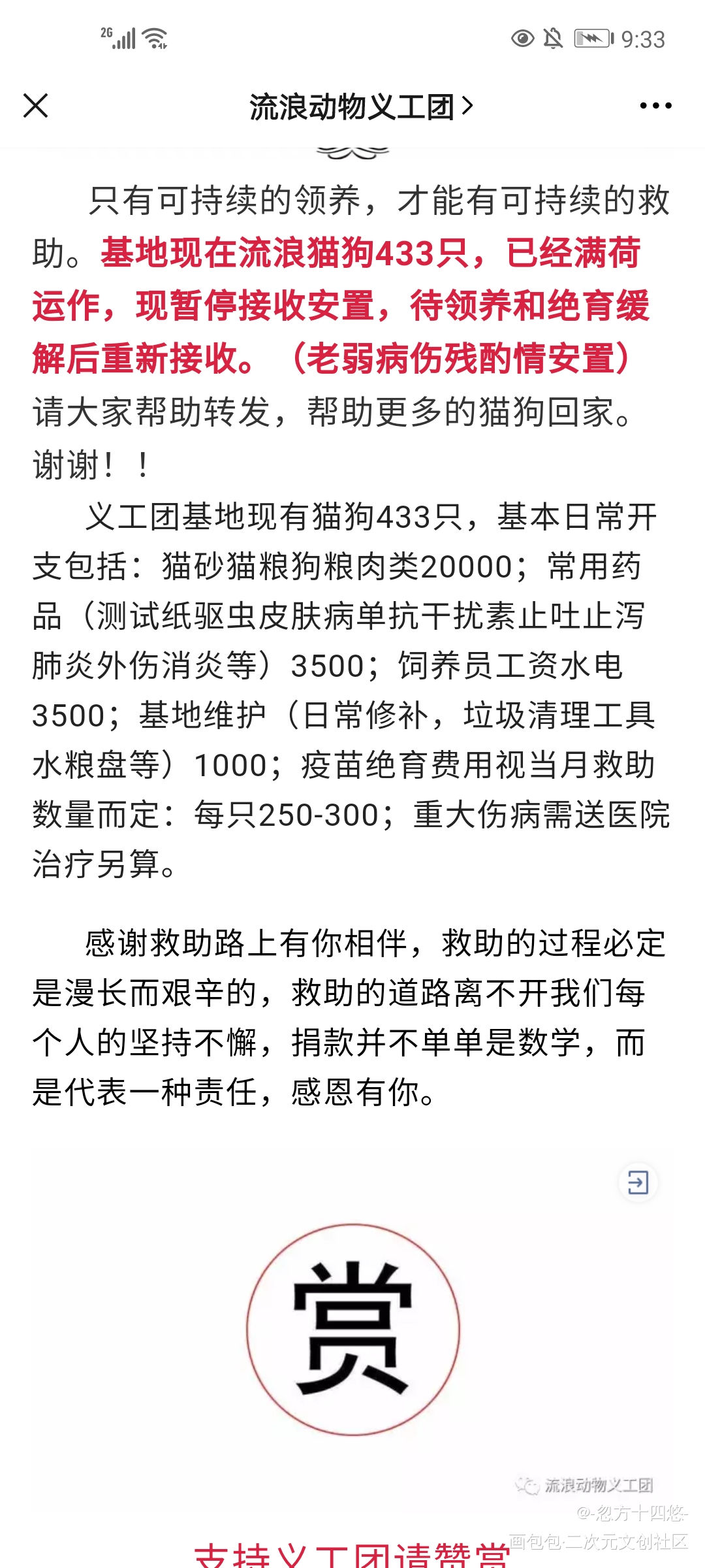 河南郑州线下领养，头像转发可用_狗狗厚涂头像领养代替购买无偿原创绘画作品