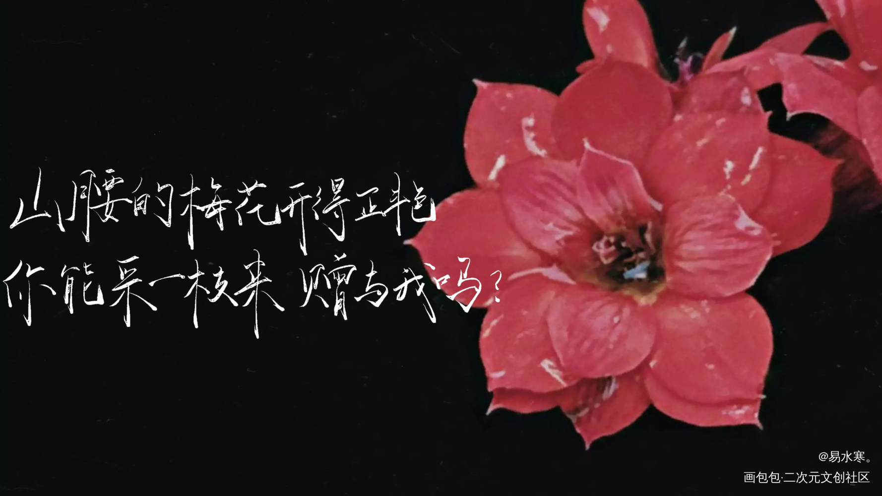 二哈和他的白猫师尊_二哈和他的白猫师尊楚晚宁墨燃我要上首推字体设计见字如晤绘画作品