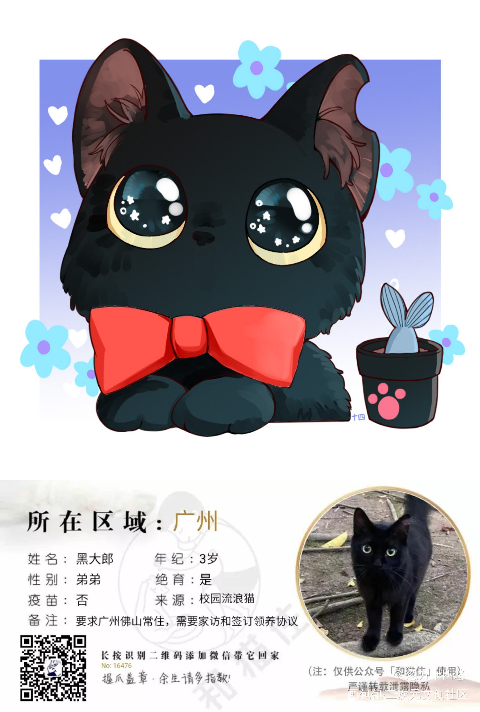 一只长的有礼貌的小猫咪_平涂头像关爱流浪动物领养代替购买猫无偿原创绘画作品